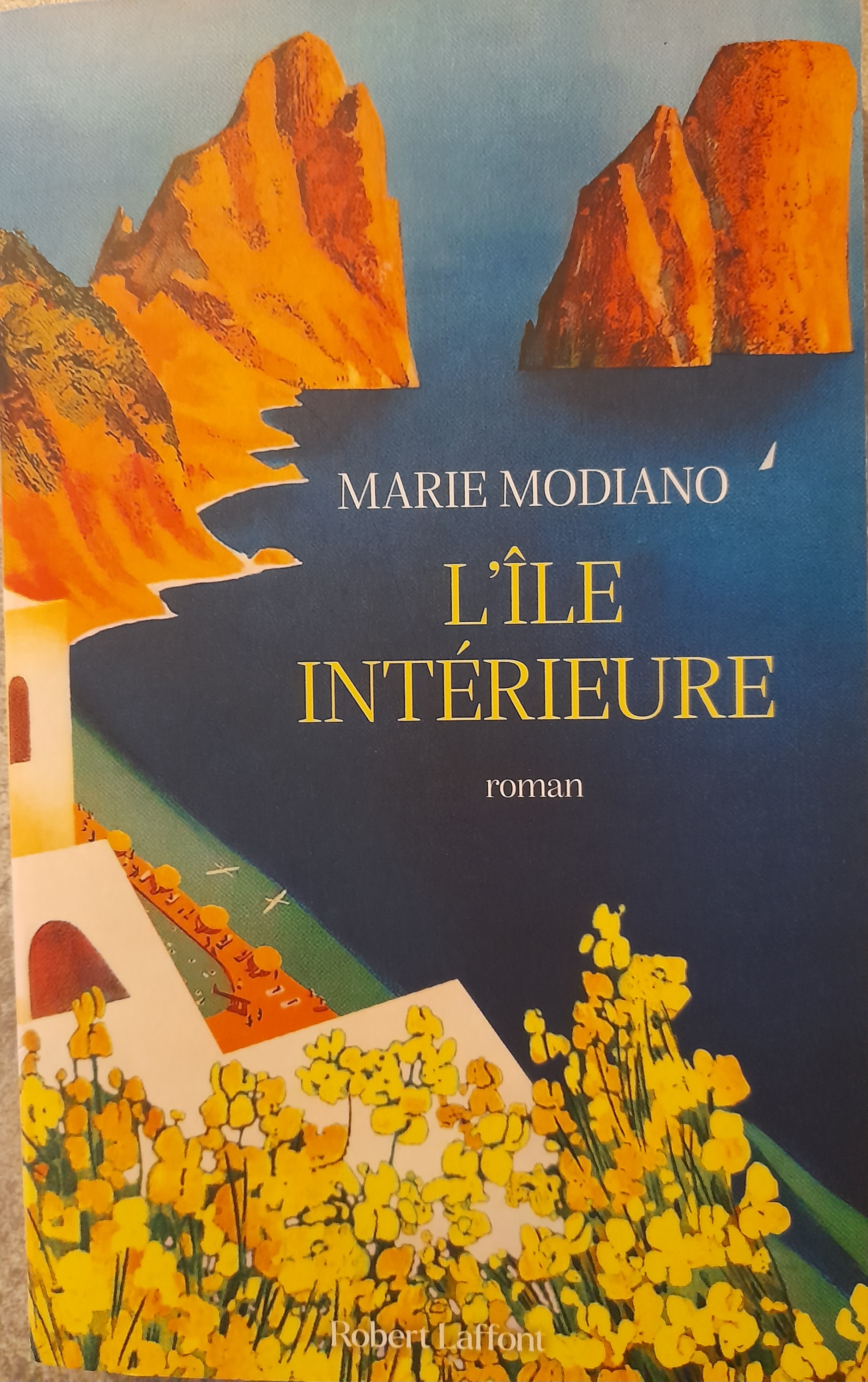 Couverture de L'île intérieure
