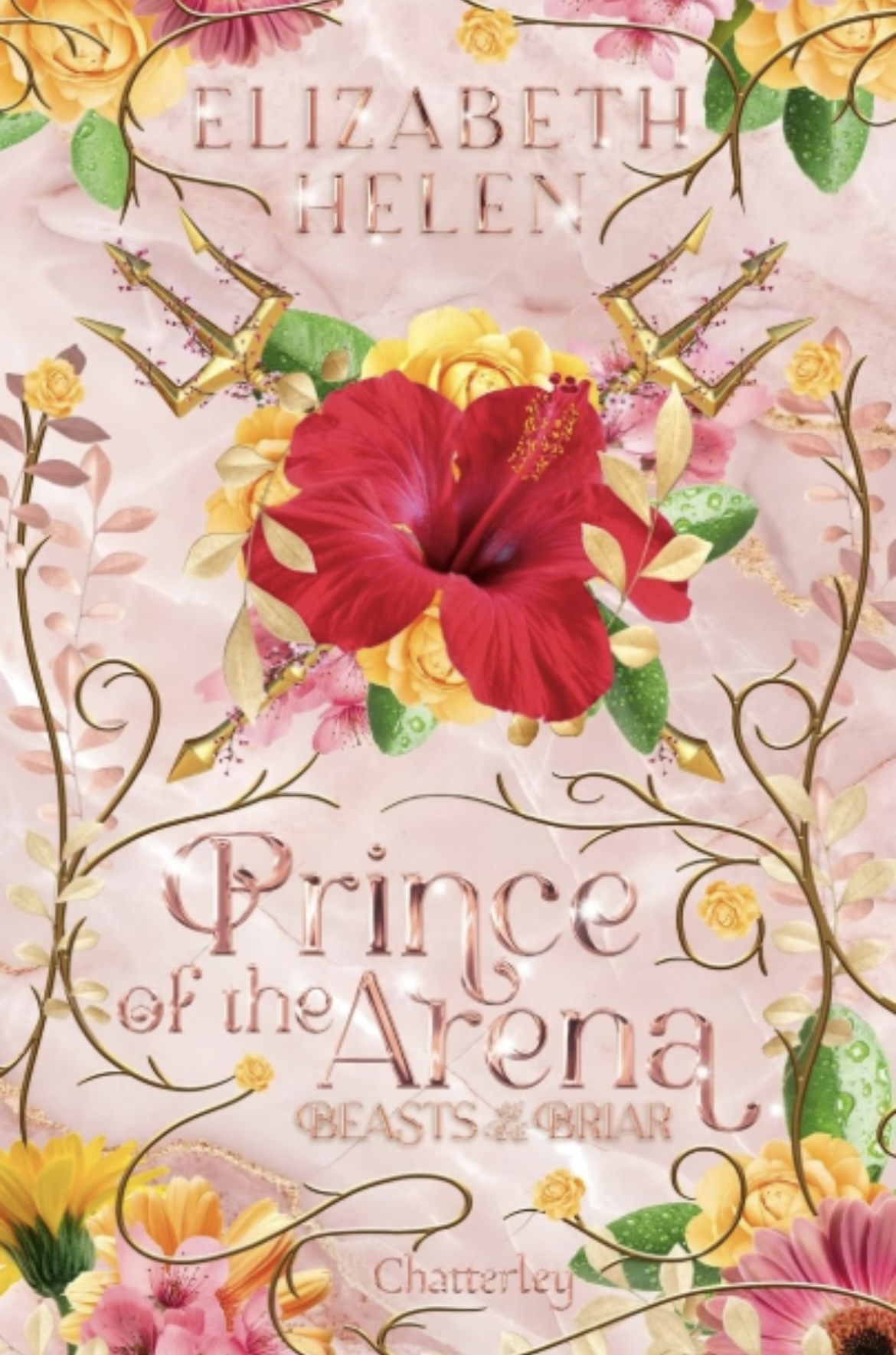 Couverture de Prince de l’arène